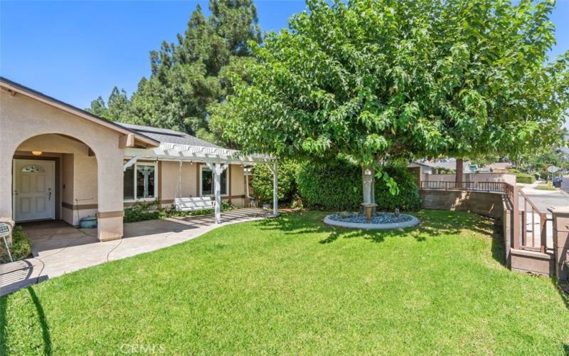 Charming front porch with swing overlooking a lush lawn and gorgeous shade tree