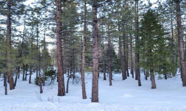 0 Glacier Dr Lot 12, Alturas, California 96101, ,Land,Buy,0 Glacier Dr Lot 12,PTP2405604