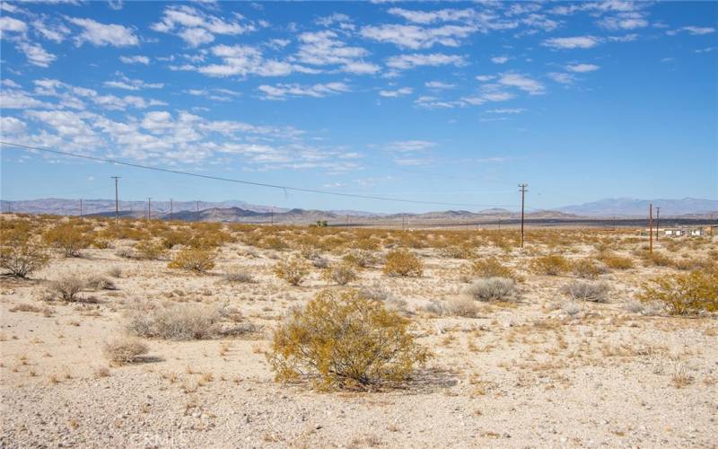 View of Posts at a distance from the lot.