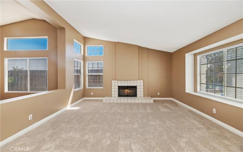 Huge family room with natural light and fire place