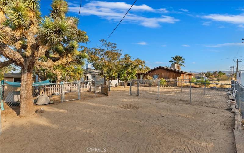 Large Fenced Backyard