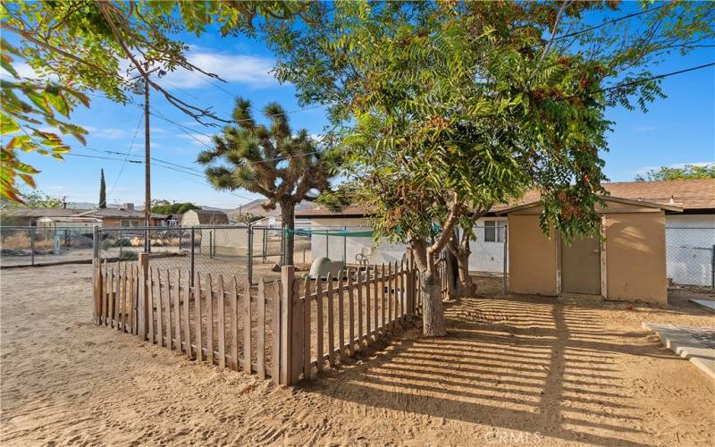 Fenced Backyard with Mature Landscaping