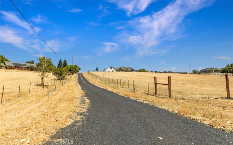 Private Driveway with Newly Planted Almond Trees Lining