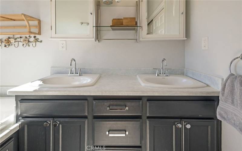 Primary Bathroom with Double Sinks and Soaking Tub (and Views!)