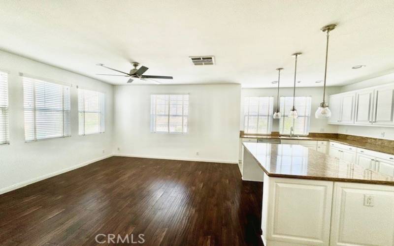 Kitchen and Media/Family Room