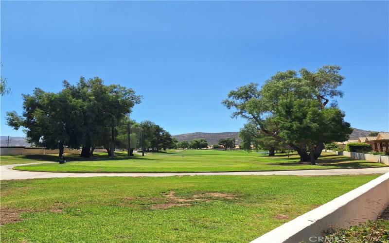 Backyard view