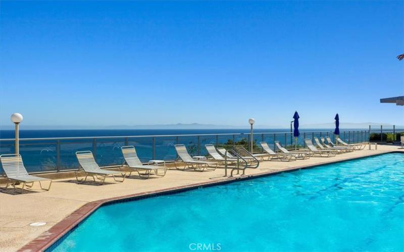 Sparkling pool and spa overlooking the ocean