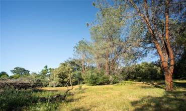 0 Pinedale Avenue, Oroville, California 95966, ,Land,Buy,0 Pinedale Avenue,OR24190779