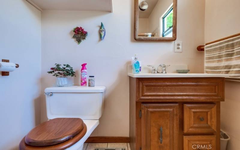 Vanity area in main bath.