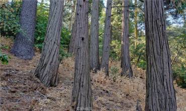 33 Lot 33 Bernard Drive, Crestline, California 92325, ,Land,Buy,33 Lot 33 Bernard Drive,EV24190904