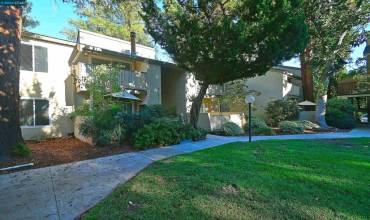 2700 Oak Rd 29, Walnut Creek, California 94597, 3 Bedrooms Bedrooms, ,2 BathroomsBathrooms,Residential,Buy,2700 Oak Rd 29,41072421