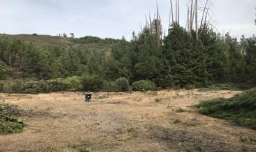 7405 Croy Road, Morgan Hill, California 95037, ,Land,Buy,7405 Croy Road,ML81957076