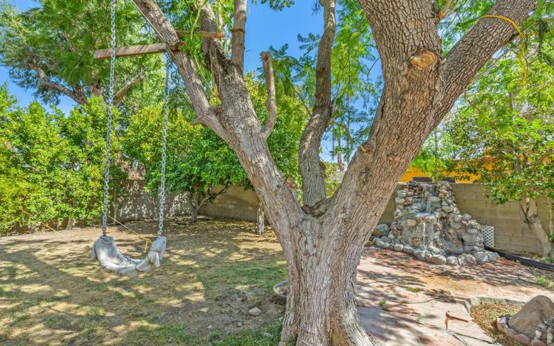 Backyard tree and fountain