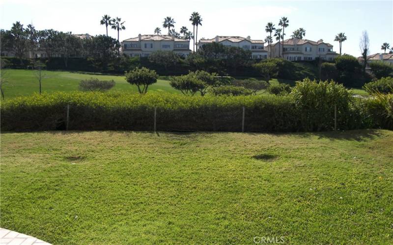 BACK YARD LAWN AND VIEW