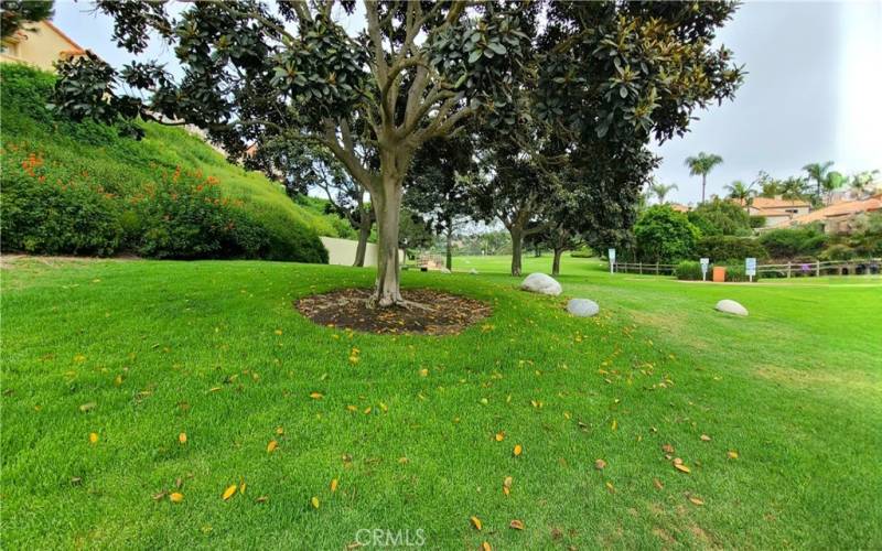 COMMUNITY PARK IS A VERY POPULAR MEETING PLACE FOR NEIGHBORS