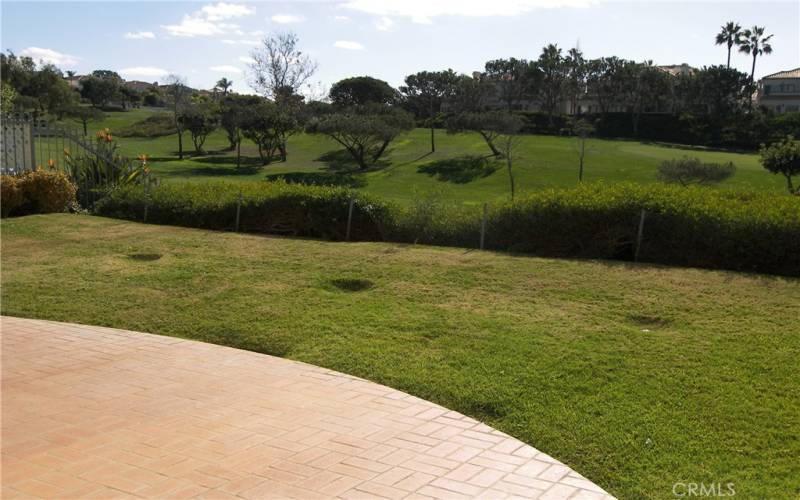 BACKYARD PATIO & LAWN WITH GOLF COURSE FRONTAGE VIEWS