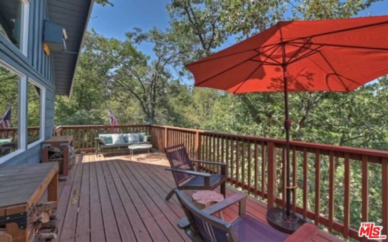 Spacious Back Deck