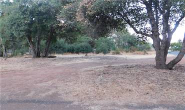 15773 22nd Avenue, Clearlake, California 95422, ,Land,Buy,15773 22nd Avenue,LC24191521