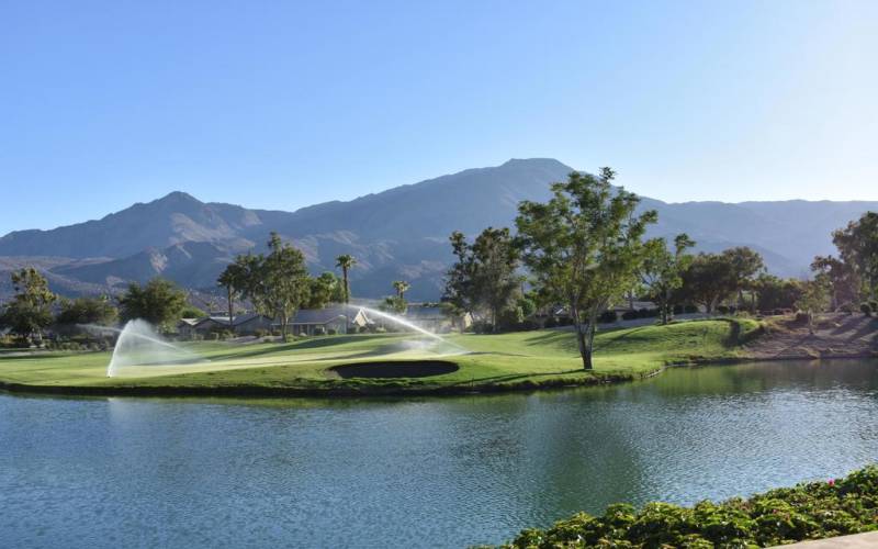 GC  behind Santa Rosa Club Gorgeous