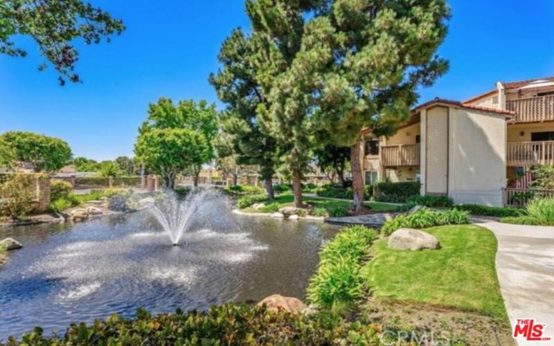 Lovely Stream & Fountain