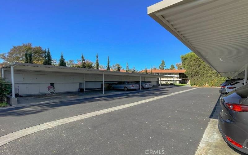 Entry area to Carports