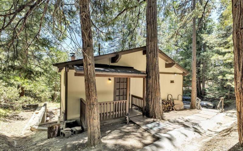 3 Back walkway & porch entry