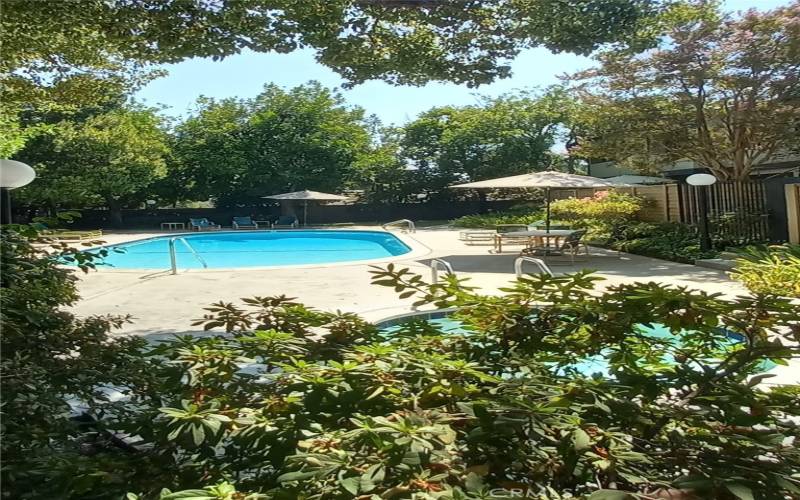 Pool area - spa in foreground