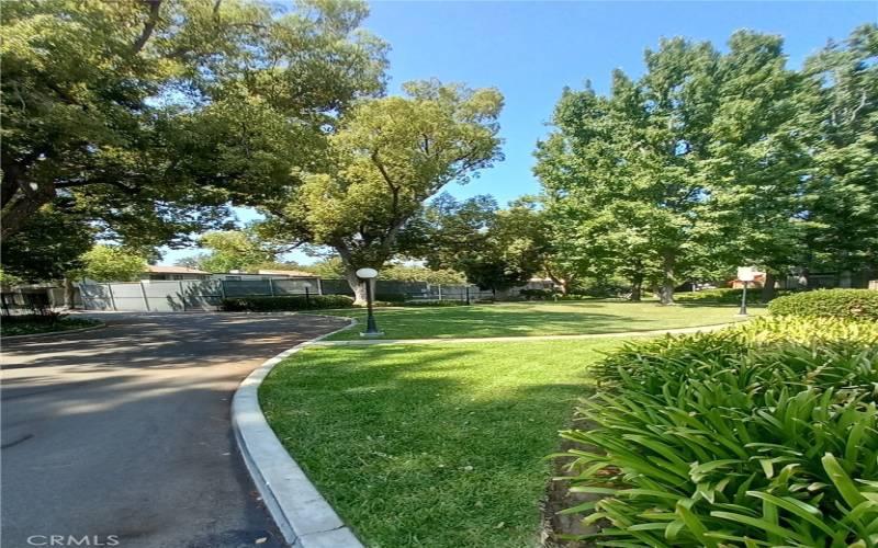 Lushly landscaped common areas: T.C. ahead; pool & spa off to left