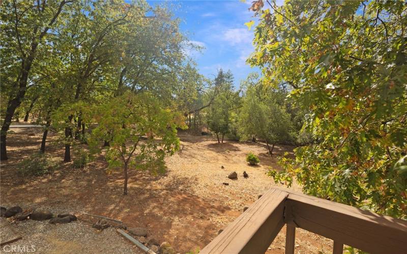 View from deck to yard.