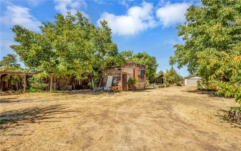 Spacious back property with two buildings that could be shops/sheds/outbuildings and a spacious two car garage, raised gardens and numerous fruit trees and vines.  A garden paradise