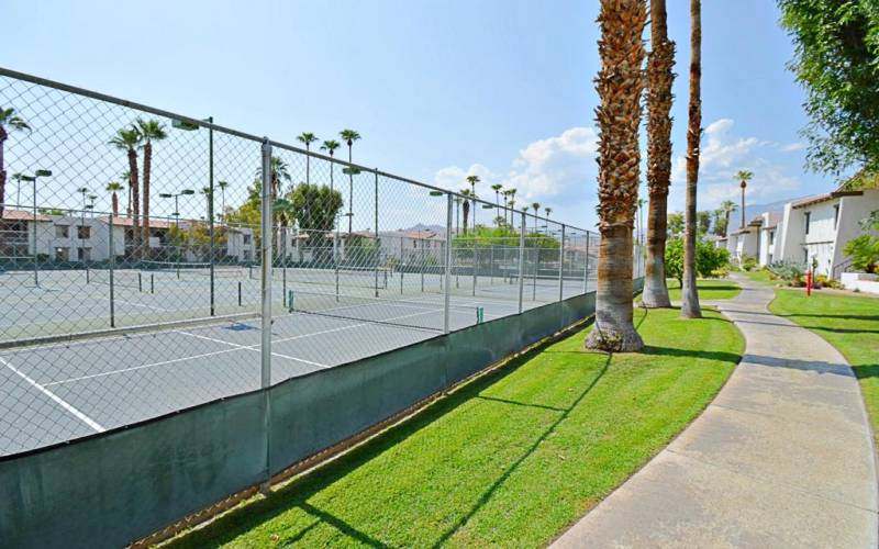 Pickleball Courts