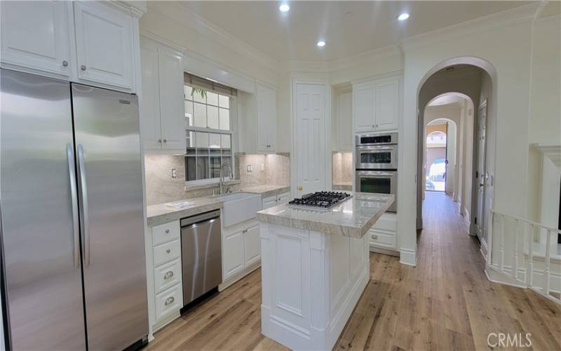 Remodeled Kitchen with Chef-style appliances