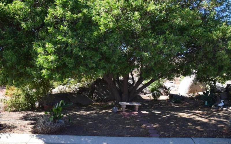 Shaded seating area and trail heads for hiking