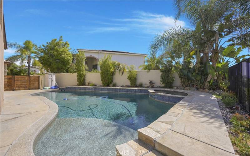 Beautiful pool with Jacuzzi