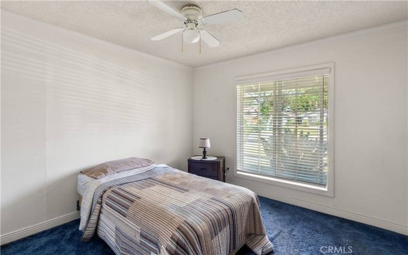 Bedroom #2 with ceiling fan, crown molding and window blinds!