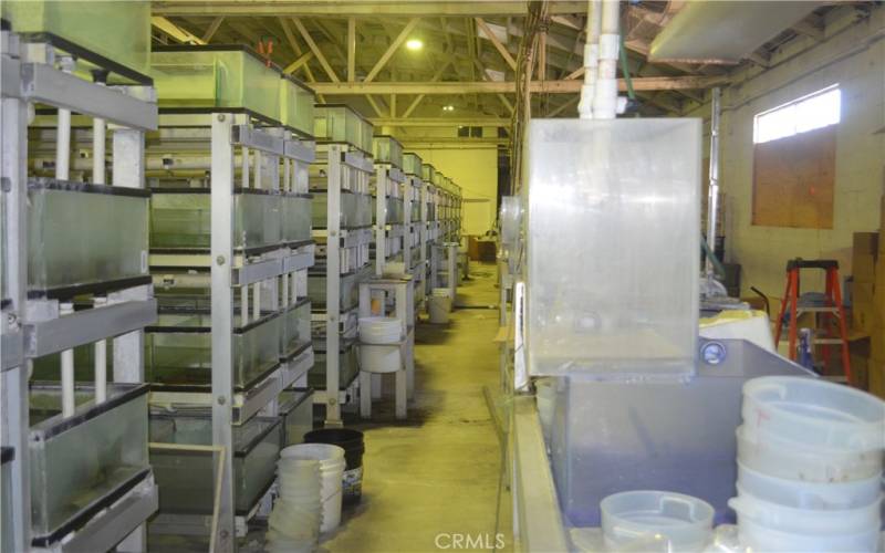 View toward front of front building with work table and racks of tanks.