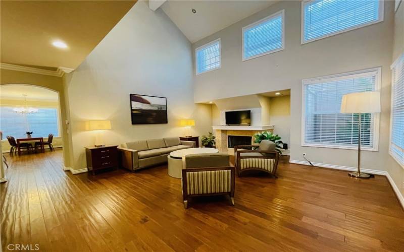 Living room: vaulted ceiling