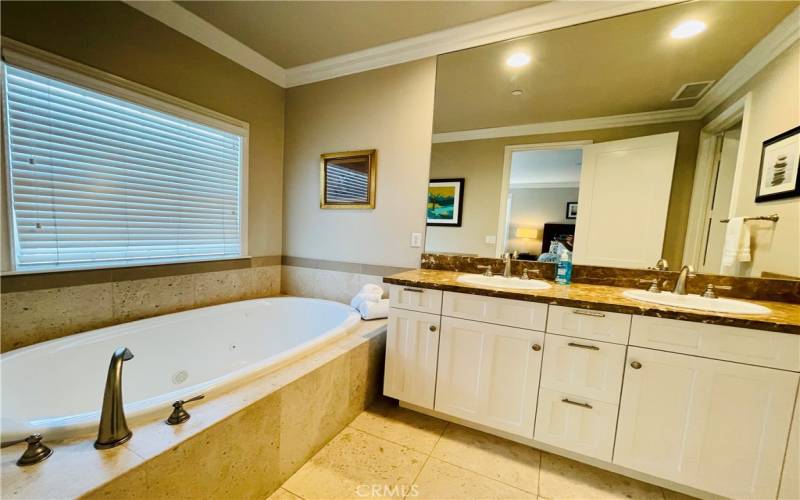 Bathroom in master bedroom