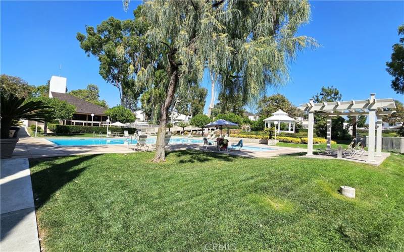 HOA main pool, spa and picnic area.