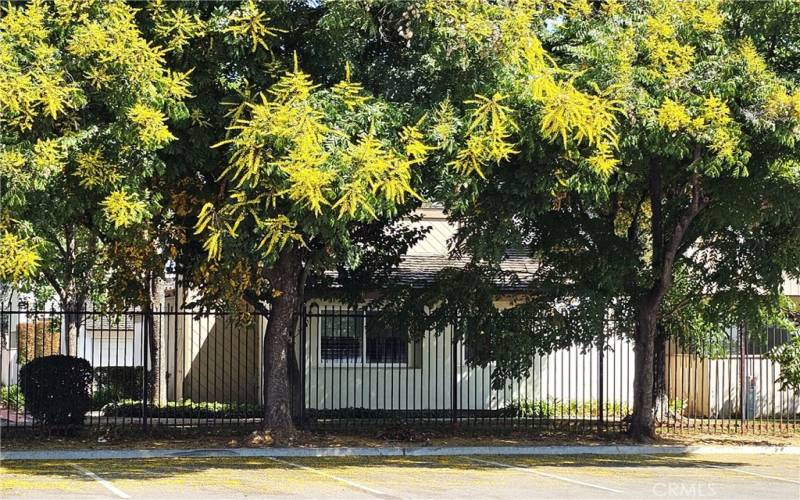 These trees shade the home from the afternoon sun.