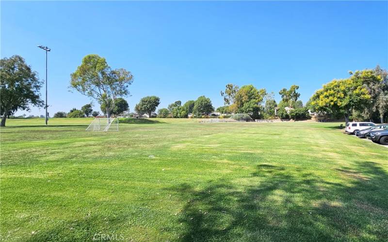 Soccer field in the background at the park.