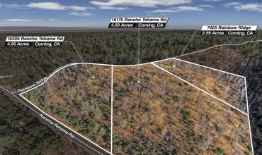 16175 Rancho Tehama Road, Corning, California 96021, ,Land,Buy,16175 Rancho Tehama Road,ML81980582