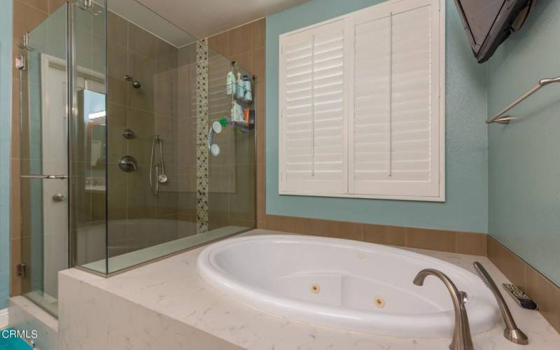 Master Bath Tub/Glass Shower