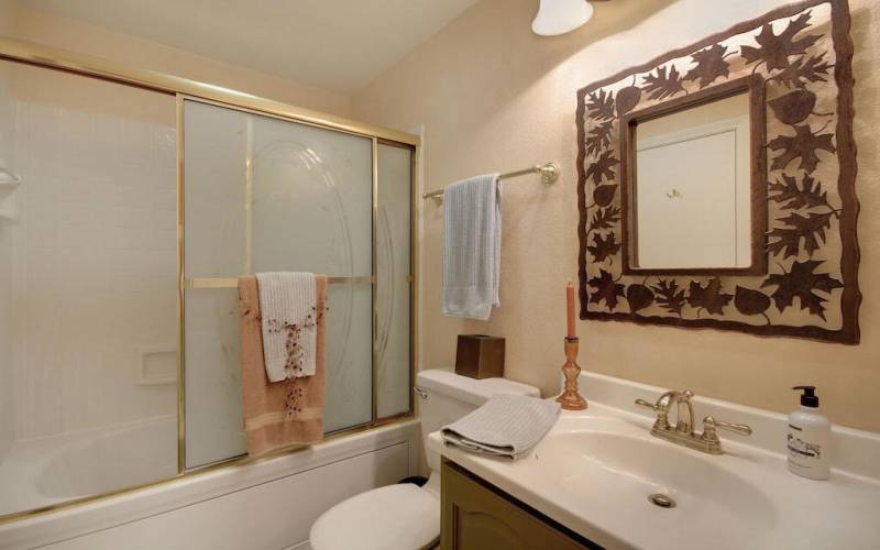 guest-bathroom_54000147612_o