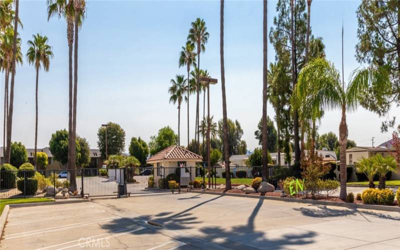 Gated access lined with palm trees