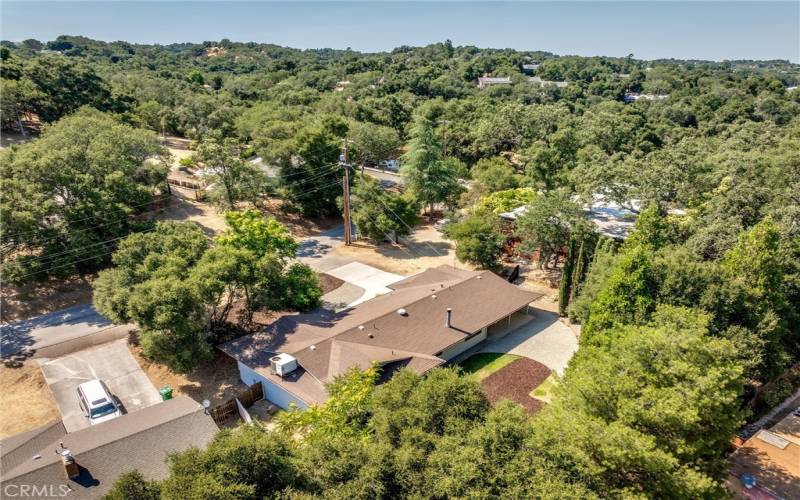 Beautiful trees abundant on property and neighborhood