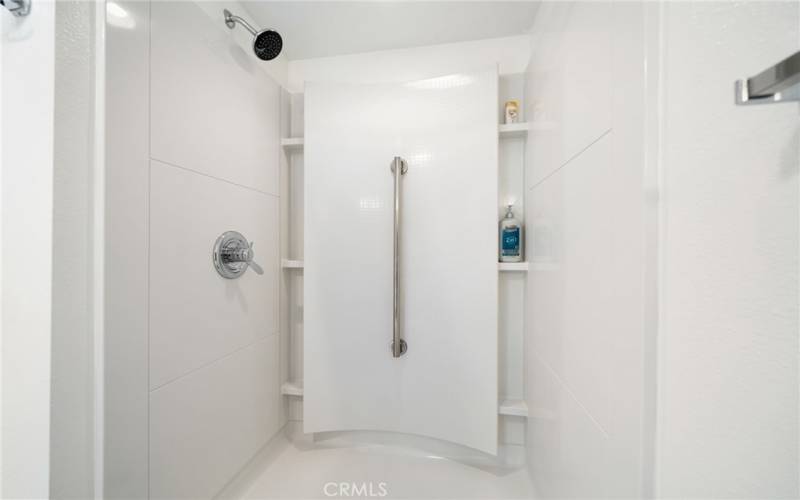 Guest Bath Walk in Shower