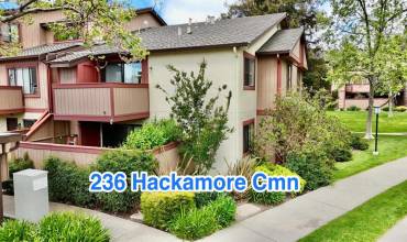 236 Hackamore Cmn