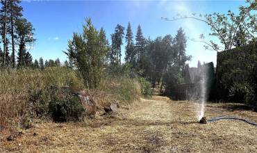 1318 Pearson Road, Paradise, California 95969, ,Land,Buy,1318 Pearson Road,SN24193929