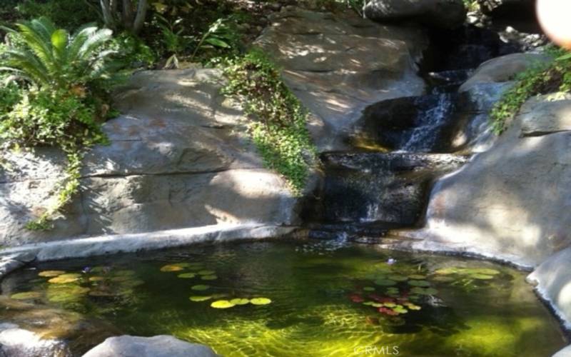 Photo taken 2015 Waterfall with water lilies and UV clean water